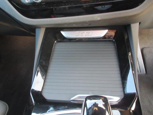 X3 xDrive 20d Mスポーツ ETC ・ACC・純正ナビ(30枚目)