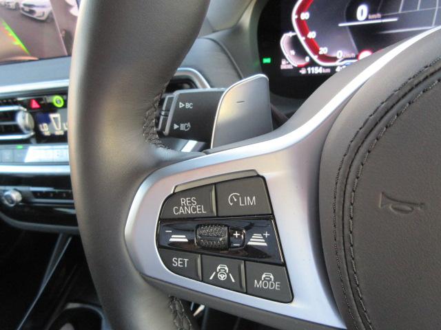 X3 xDrive 20d Mスポーツ ETC ・ACC・純正ナビ(42枚目)