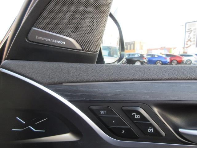 X3 xDrive 20d Mスポーツ ETC ・ACC・純正ナビ(46枚目)