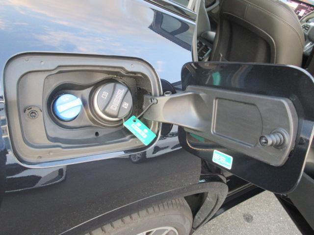 X3 xDrive 20d Mスポーツ ETC ・ACC・純正ナビ(55枚目)