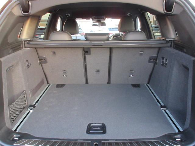 X3 xDrive 20d Mスポーツ ETC ・ACC・純正ナビ(62枚目)