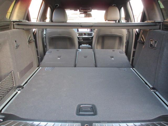 X3 xDrive 20d Mスポーツ ETC ・ACC・純正ナビ(63枚目)