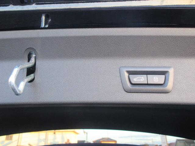 X3 xDrive 20d Mスポーツ ETC ・ACC・純正ナビ(64枚目)