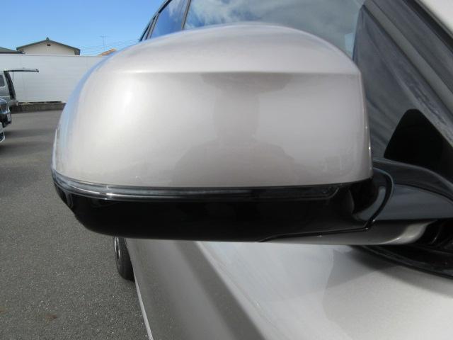 iX3 Mスポーツ ETC ・ACC・純正ナビ(19枚目)