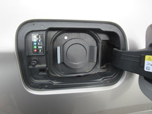 iX3 Mスポーツ ETC ・ACC・純正ナビ(22枚目)