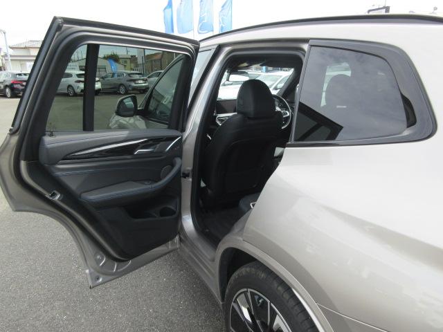 iX3 Mスポーツ ETC ・ACC・純正ナビ(32枚目)