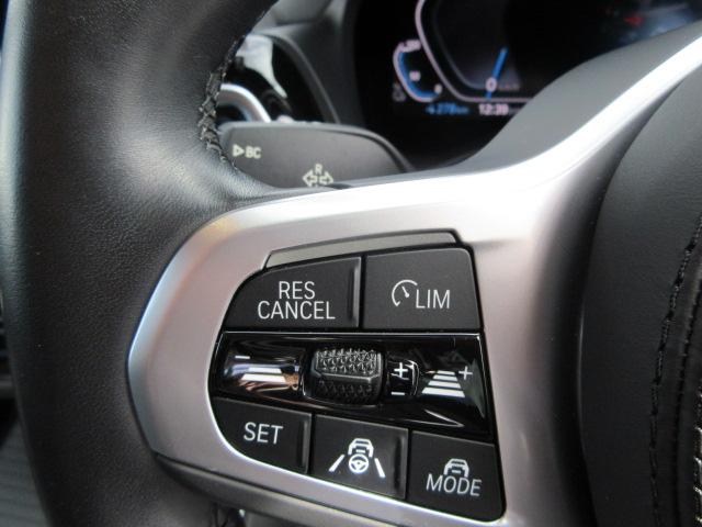 iX3 Mスポーツ ETC ・ACC・純正ナビ(53枚目)