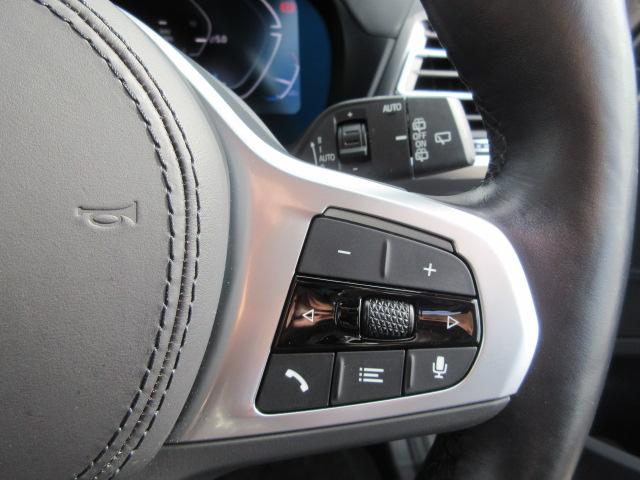 iX3 Mスポーツ ETC ・ACC・純正ナビ(54枚目)