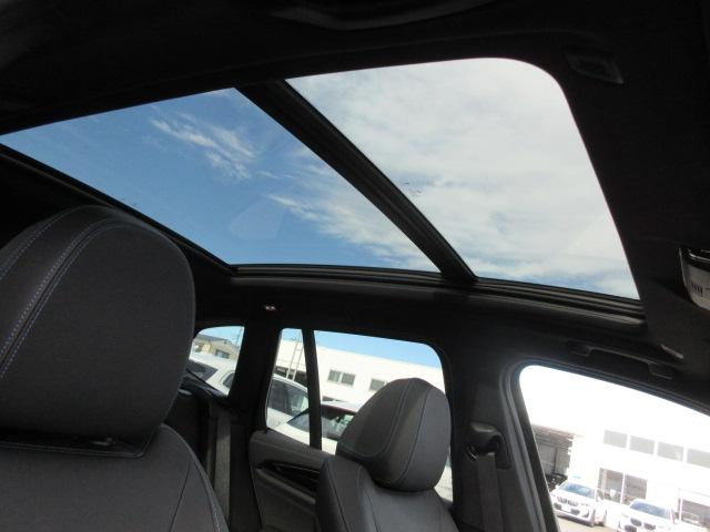 iX3 Mスポーツ ETC ・ACC・純正ナビ(61枚目)