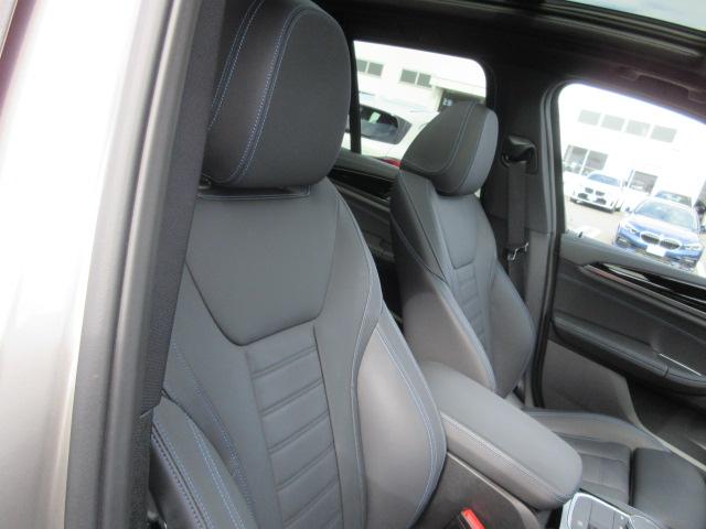 iX3 Mスポーツ ETC ・ACC・純正ナビ(62枚目)