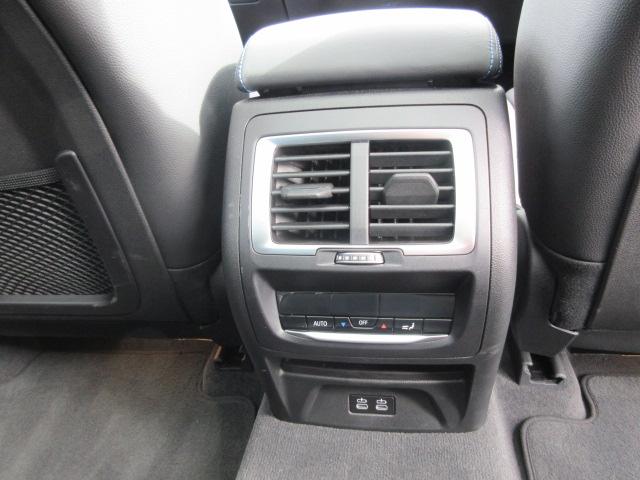 iX3 Mスポーツ ETC ・ACC・純正ナビ(66枚目)