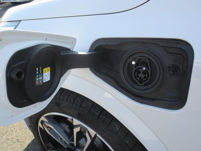 iX2 xDrive 30 Mスポーツ ETC ・ACC・純正ナビ(22枚目)