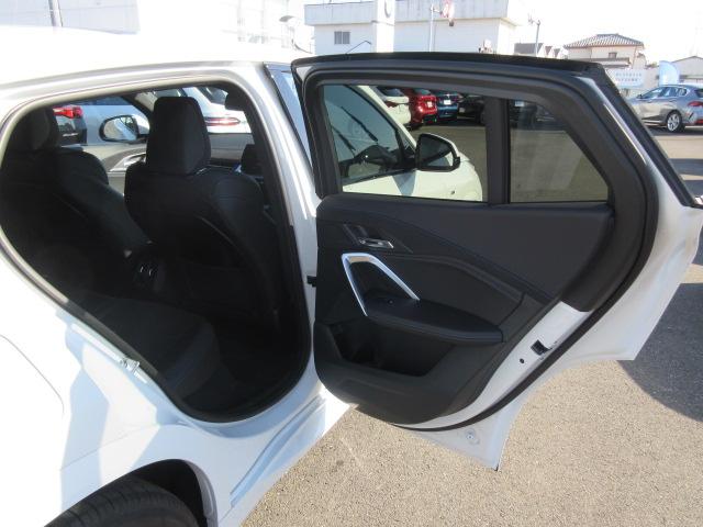 iX2 xDrive 30 Mスポーツ ETC ・ACC・純正ナビ(51枚目)