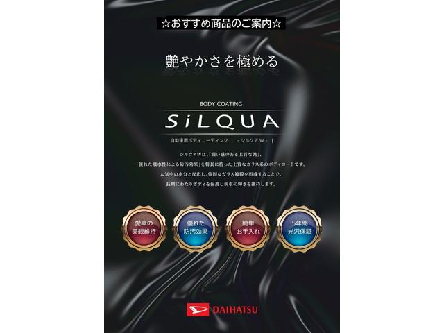 キャスト アクティバＸ　リミテッド　ＳＡＩＩＩ　ＴＶナビ　バックカメラ付き　衝突軽減ブレーキ　レーンアシスト　セキュリティアラーム　キーフリー　横滑り防止　スマートキー　ワンオーナー　オートハイビーム　メモリーナビ　アイドリングストップ　ドラレコ（6枚目）