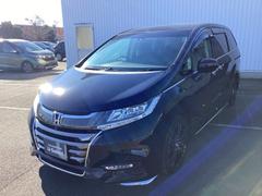 ǥå ֥롼ȡţإۥ󥷥󥰡륫顡ݥȥҡݥݡڸ֥졼 0402775A30251212W001 7