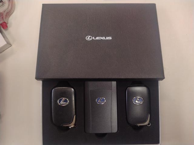 CT CT200h Fスポーツ スマートキー&プッシュスタート クルーズC USBポート エアロ HDDマルチナビ Aストップ 電動格納ミラー 地デジ 助手席エアバッグ キーレスエントリー ナビ&TV ドラレコ AUX 点検記録簿(79枚目)