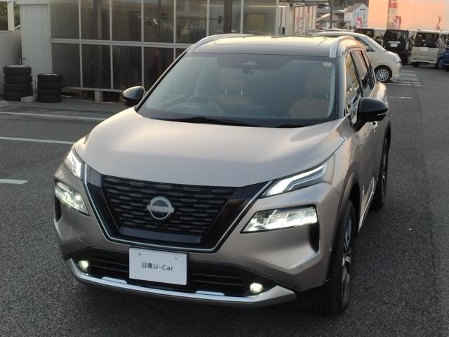 エクストレイル Ｇ　ｅ－４ＯＲＣＥ　４ＷＤ　ガラスルーフ　衝突被害軽減装置　自動駐車　ＰＷシート　シートヒーター　パークアシスト　アラモニ　寒冷地仕様　ＬＥＤヘッドランプ　ナビＴＶ　レーダークルーズ　１００Ｖ　本革Ｓ　ＥＴＣ２．０（9枚目）