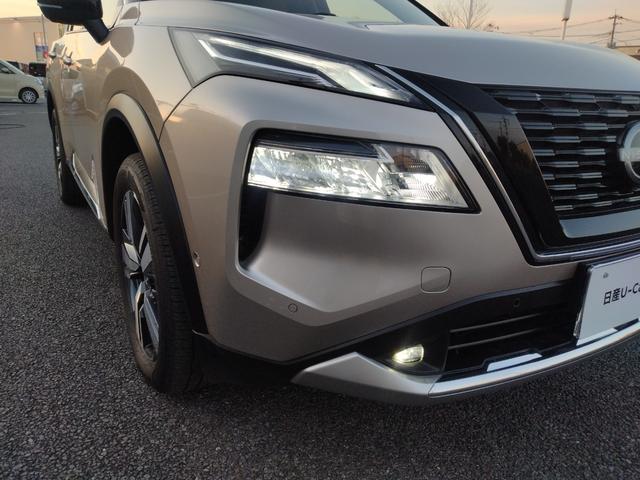 エクストレイル Ｇ　ｅ－４ＯＲＣＥ　４ＷＤ　ガラスルーフ　衝突被害軽減装置　自動駐車　ＰＷシート　シートヒーター　パークアシスト　アラモニ　寒冷地仕様　ＬＥＤヘッドランプ　ナビＴＶ　レーダークルーズ　１００Ｖ　本革Ｓ　ＥＴＣ２．０（10枚目）