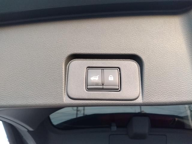 エクストレイル Ｇ　ｅ－４ＯＲＣＥ　４ＷＤ　ガラスルーフ　衝突被害軽減装置　自動駐車　ＰＷシート　シートヒーター　パークアシスト　アラモニ　寒冷地仕様　ＬＥＤヘッドランプ　ナビＴＶ　レーダークルーズ　１００Ｖ　本革Ｓ　ＥＴＣ２．０（34枚目）