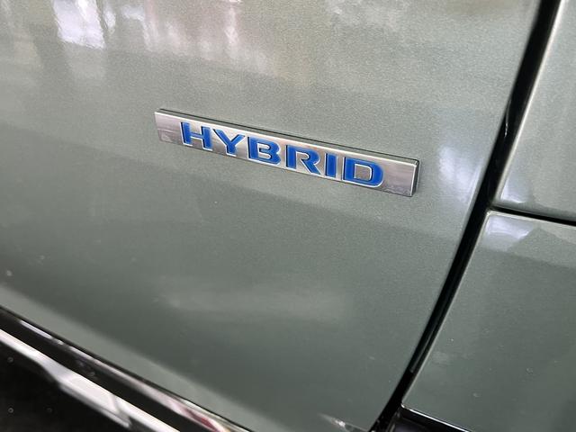 デリカミニ G プレミアム リミテッドエディション 純正ディスプレイオーディオ アラウンドビューモニター 両側ハンズフリーオートスライドドア FCM マイパイロット クルーズコントロール ステアリングヒーター シートヒーター LEDヘッドライト ESC(40枚目)