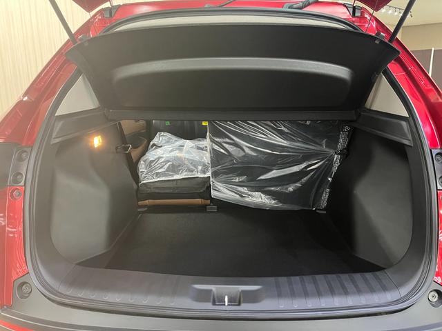 WR-V Z+ 登録済未使用車 ホンダセンシング クルーズコントロール LEDヘッドライト/フォグランプ 純正アルミホイール ステアリングスイッチ 電動格納ミラー プッシュスタート スマートキー 横滑り防止(35枚目)