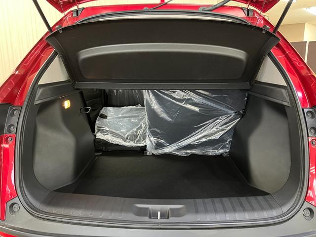 WR-V Z 登録済未使用車 ホンダセンシング純正アルミホイール ステアリングリモコン プッシュスタート スマートキー LEDヘッドライト&フォグランプ アクティブクルーズコントロール クルーズコントロール(32枚目)