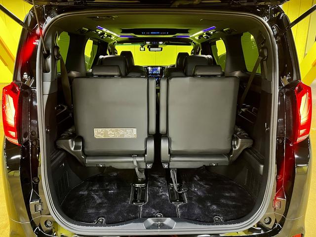 アルファード ３．５エグゼクティブラウンジＳ　３．５エグゼクティブラウンジＳ＿ＴＲＤエアロ　純正ナビ　ＴＶ　全方位カメラ　両側パワースライドドア　クルーズコントロール　シートベンチレーション（55枚目）