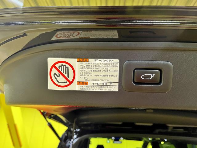 アルファード ３．５エグゼクティブラウンジＳ　３．５エグゼクティブラウンジＳ＿ＴＲＤエアロ　純正ナビ　ＴＶ　全方位カメラ　両側パワースライドドア　クルーズコントロール　シートベンチレーション（57枚目）