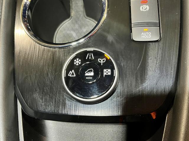 エクストレイル G e-4ORCE G-e4ORCE_PWバックドア 純正ナビ TV シートヒーター インテリジェントクルーズコントロール 全方位モニター(33枚目)