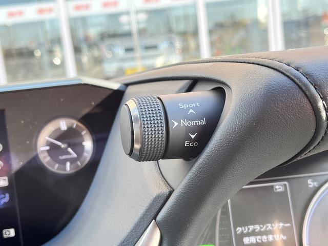 �L�b�Y�R�[�i�[��x�r�[�x�b�h�����ł��q�l�A��̂��q�l�������S���Ă�����ł��܂���