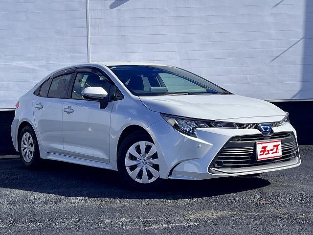 ���X�͂��A�l�őn�ƂT�T���N���}���邱�Ƃ��o���܂����B���ɂ��肪�Ƃ��������܂��I���ꂩ������q�l����x���𒸂���悤�A�̔�����T�|�[�g�܂ōX�ɔC���Ē����邨�X��ڎw���ăX�^�b�t�ꓯ�����v���܂��I