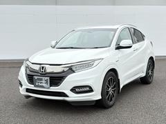 ۥΥۥäݾդʴԵΥ̵¡ˡΥۥǥ顼Υӥݾڤޤ 7