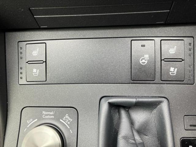 IS IS300Fスポーツモードブラック 保証書/純正 10インチ ナビ/衝突安全装置/エアーシート 前席/パノラミックビューモニター/車線逸脱防止支援システム/シート フルレザー/ヘッドランプ LED/ETC2.0/EBD付ABS 革シート(29枚目)