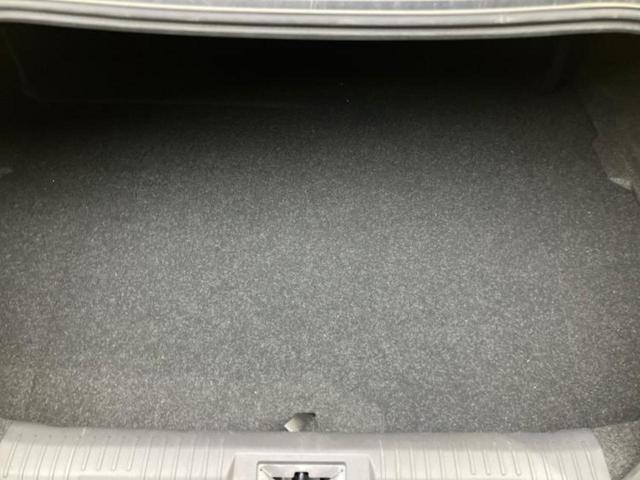 �u���̎Ԃ̎ʐ^�������ƌ������v�u��Ԃ��C�ɂȂ�v�u���̑����͂��Ă���H�v�ǂ�ȏ����ȋ^��ł����C�y�ɂ��₢���킹���������I