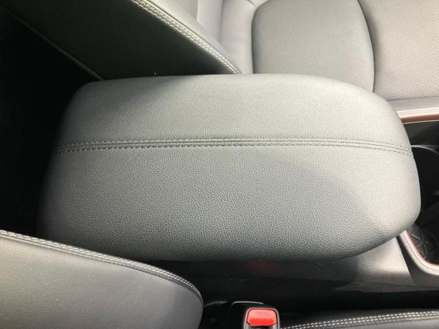 �u���̎Ԃ̎ʐ^�������ƌ������v�u��Ԃ��C�ɂȂ�v�u���̑����͂��Ă���H�v�ǂ�ȏ����ȋ^��ł����C�y�ɂ��₢���킹���������I