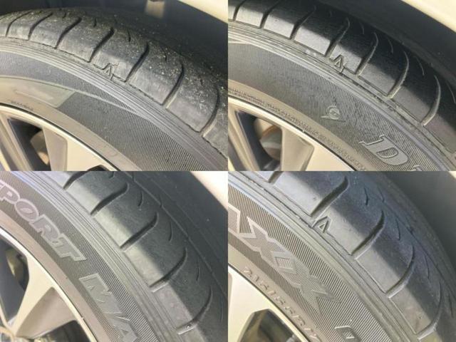 �u���̎Ԃ̎ʐ^�������ƌ������v�u��Ԃ��C�ɂȂ�v�u���̑����͂��Ă���H�v�ǂ�ȏ����ȋ^��ł����C�y�ɂ��₢���킹���������I