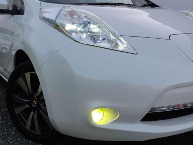 �k�d�c�w�b�h���C�g�Ȃ̂Ł@�铹�𖾂邭�Ƃ炵�Ă���܂���