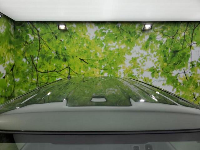 ハスラー G 新品タイヤ/保証書/社外 SDナビ/デュアルカメラブレーキサポート(スズキ)/シートヒーター 前席/車線逸脱防止支援システム/パーキングアシスト バックガイド バックカメラ 禁煙車 ドラレコ ETC(50枚目)