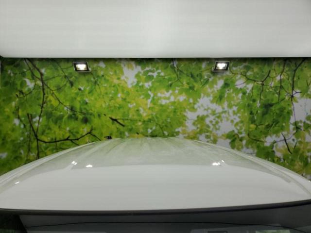 N-BOXカスタム ターボ 新品タイヤ/保証書/ディスプレイオーディオ8インチ/ホンダセンシング/両側電動スライドドア/シートヒーター 前席/車線逸脱防止支援システム/シート ハーフレザー ターボ 衝突被害軽減システム 禁煙車(54枚目)