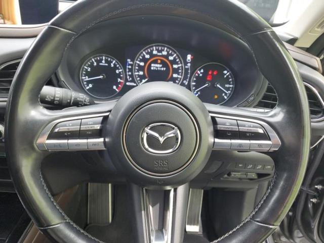 ＣＸ－３０ ２０Ｓプロアクティブツーリングセレクション　新品タイヤ／純正エアロ／ＢＯＳＥ／保証書／純正　ＨＤＤナビ／アイアクティブセンス（マツダ）／シートヒーター／３６０°ビューモニター／車線逸脱防止支援システム／シート　フルレザー／電動バックドア　禁煙車（16枚目）