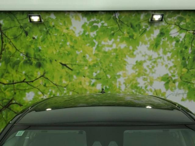 ライズ Ｚ　ディスプレイオーディオ９インチ／スマートアシスト（トヨタ・ダイハツ）／シートヒーター　前席／車線逸脱防止支援システム／ヘッドランプ　ＬＥＤ／ＵＳＢジャック／Ｂｌｕｅｔｏｏｔｈ接続／ＥＴＣ　バックカメラ（49枚目）