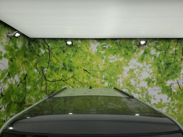 タフト Ｇダーククロムベンチャー　ガラスルーフ／社外　メモリーナビ／スマートアシスト（トヨタ・ダイハツ）／シートヒーター　前席／パノラマモニター／車線逸脱防止支援システム／ヘッドランプ　ＬＥＤ／ＵＳＢジャック　衝突被害軽減システム（49枚目）