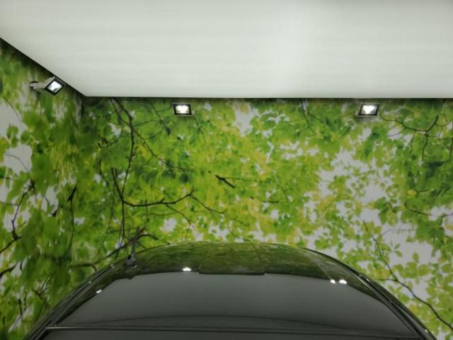 ミライース L 保証書/ABS/横滑り防止装置/アイドリングストップ/禁煙車/エアバッグ 運転席/エアバッグ 助手席/パワーウインドウ/キーレス/パワーステアリング/オートライト/盗難防止システム/マニュアルエアコン(48枚目)