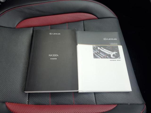 ＮＸ ４ＷＤ　ＮＸ３００ｈ　Ｆスポーツ　サンルーフ／保証書／純正　ＳＤナビ／プリクラッシュセーフティ／シートヒーター　前席／パノラミックビューモニター／車線逸脱防止支援システム／シート　フルレザー／ヘッドランプ　ＬＥＤ／ＵＳＢジャック（35枚目）