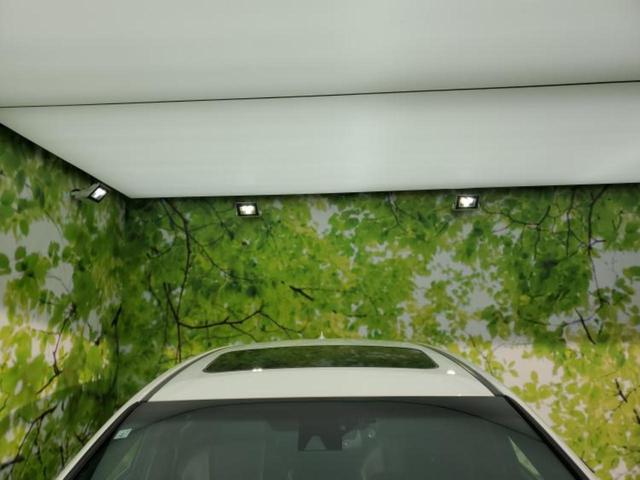 ＮＸ ４ＷＤ　ＮＸ３００ｈ　Ｆスポーツ　サンルーフ／保証書／純正　ＳＤナビ／プリクラッシュセーフティ／シートヒーター　前席／パノラミックビューモニター／車線逸脱防止支援システム／シート　フルレザー／ヘッドランプ　ＬＥＤ／ＵＳＢジャック（48枚目）