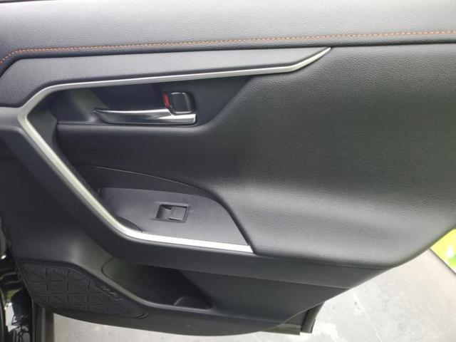 �u���̎Ԃ̎ʐ^�������ƌ������v�u��Ԃ��C�ɂȂ�v�u���̑����͂��Ă���H�v�ǂ�ȏ����ȋ^��ł����C�y�ɂ��₢���킹���������I