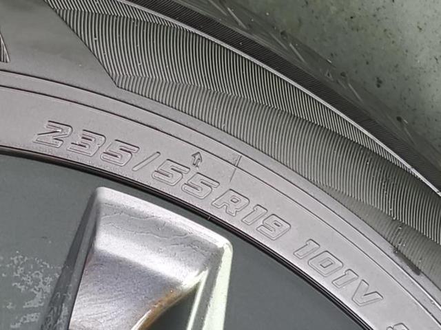 �u���̎Ԃ̎ʐ^�������ƌ������v�u��Ԃ��C�ɂȂ�v�u���̑����͂��Ă���H�v�ǂ�ȏ����ȋ^��ł����C�y�ɂ��₢���킹���������I