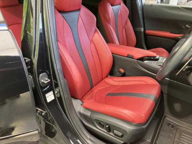 �u���̎Ԃ̎ʐ^�������ƌ������v�u��Ԃ��C�ɂȂ�v�u���̑����͂��Ă���H�v�ǂ�ȏ����ȋ^��ł����C�y�ɂ��₢���킹���������I