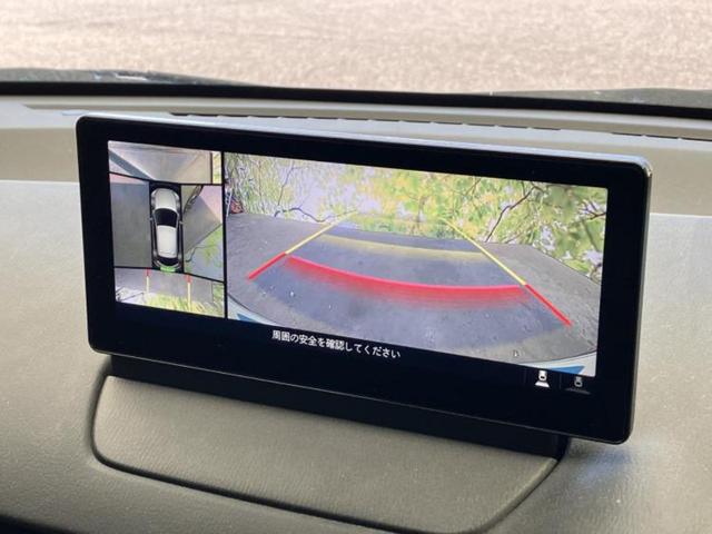 �v�d�b�`�q�r�̓W����ł͎��ۂɌ��āA�G���Ă��Ԃ����I�т��������܂��I�m���̖L�x�ȉc�ƃX�^�b�t���l�X�ȃJ�[���C�t������Ă������܂��I