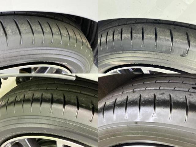 �u���̎Ԃ̎ʐ^�������ƌ������v�u��Ԃ��C�ɂȂ�v�u���̑����͂��Ă���H�v�ǂ�ȏ����ȋ^��ł����C�y�ɂ��₢���킹���������I